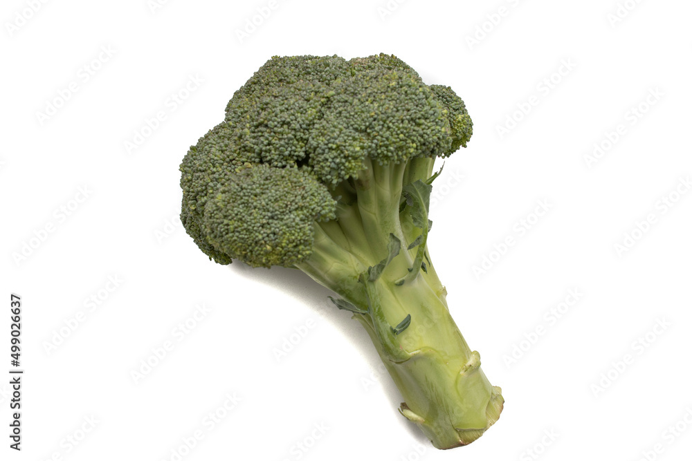 Raw broccoli isolated on white background. Its fiber content is