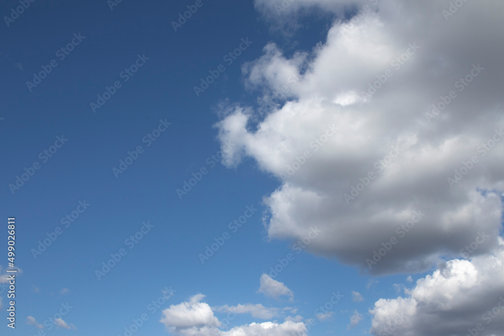 A blue sky with white clouds, as a background.