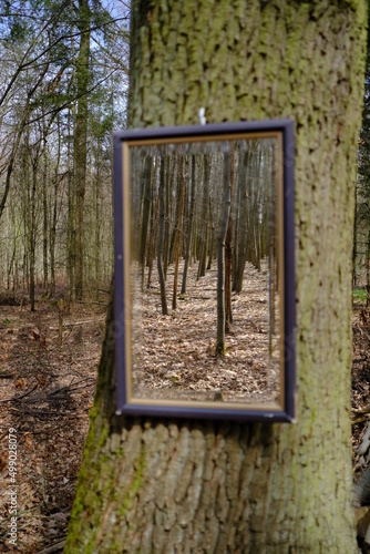 Ein Spiegel im Wald © Karsten