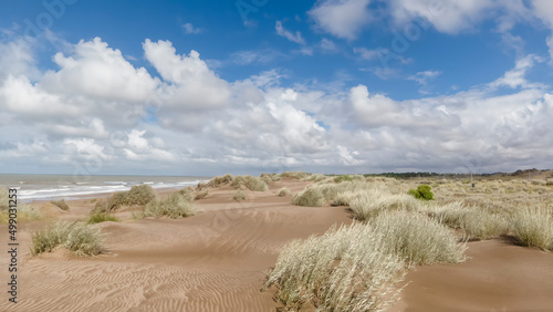 Fototapeta Naklejka Na Ścianę i Meble -  dunes with native vegetation giving way to a view of the sea with cloudy sky