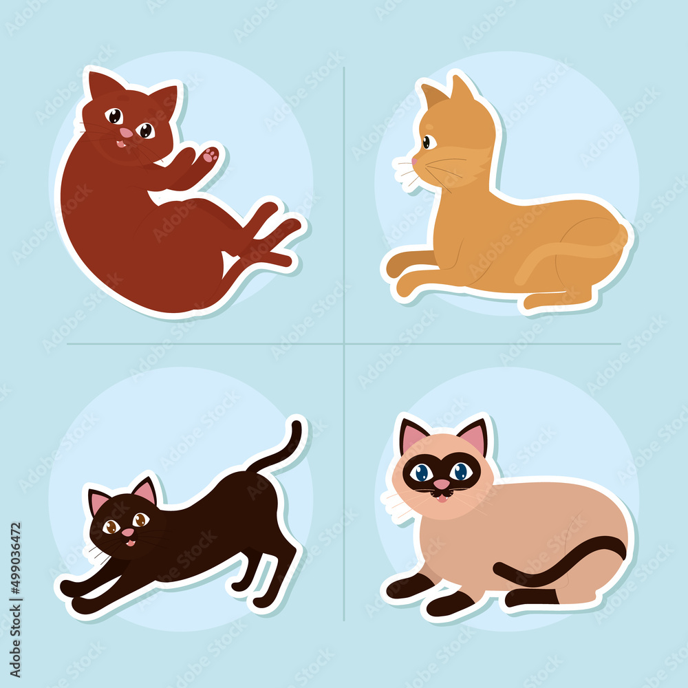cats icon set cats icon set