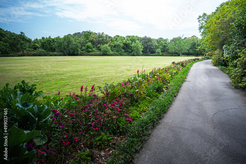 A beautiful garden view in Alabama USA photo