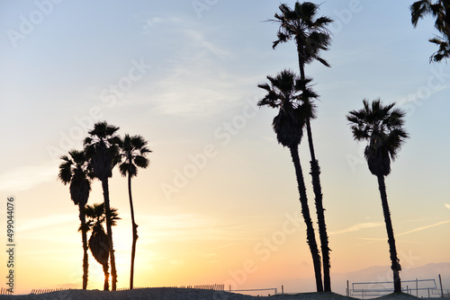 Santa Monica, California, USA - April 10, 2022: Sunset view of the palm trees at Santa Monica Beach