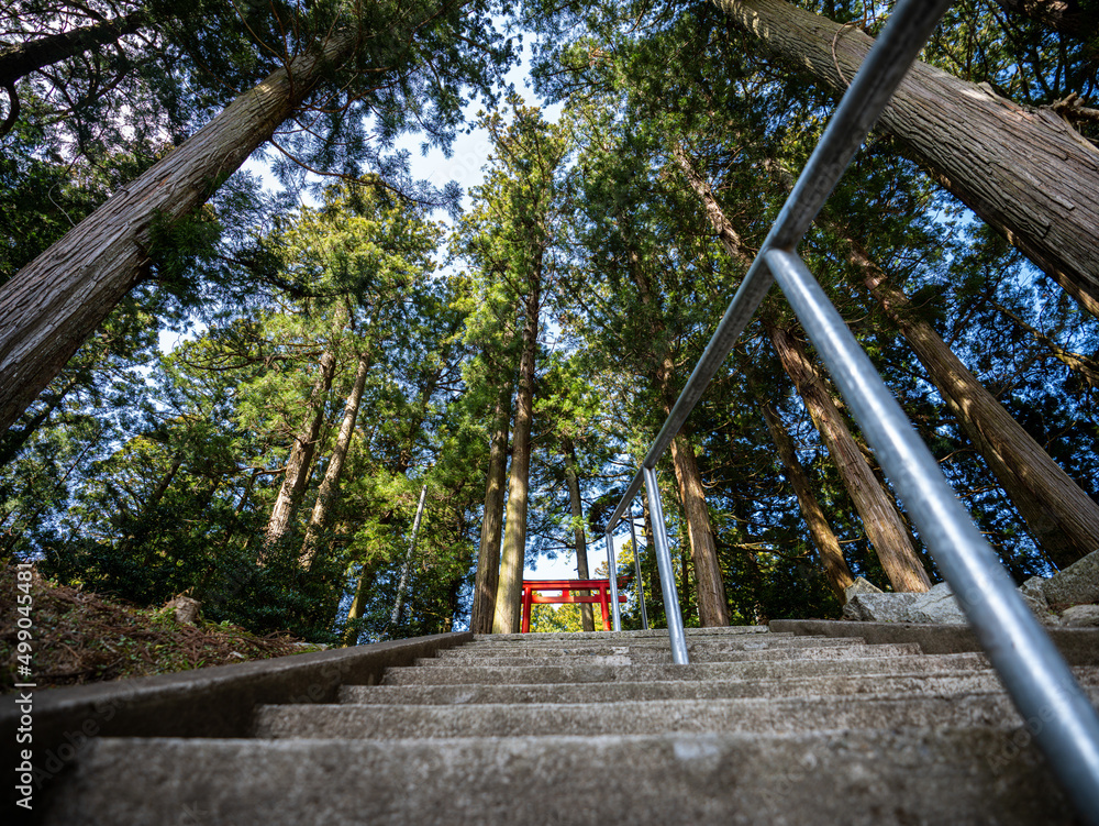 神社 神社