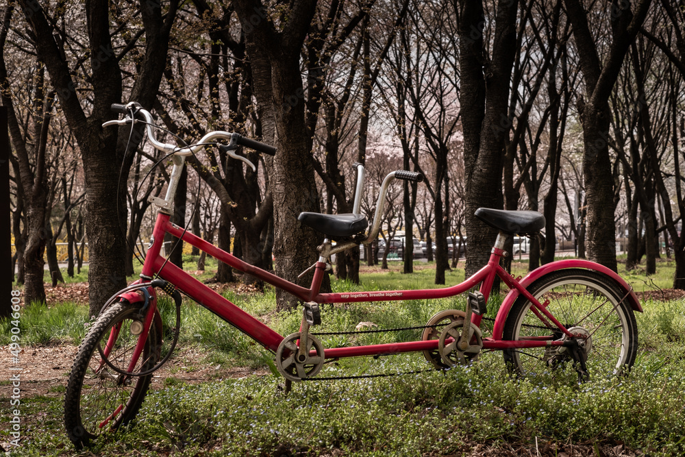 The old red bike facing the spring forest The old red bike facing the spring forest