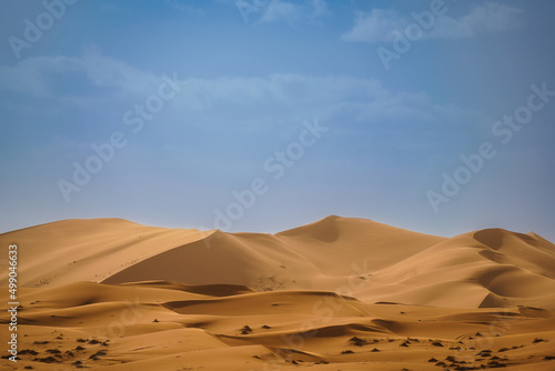 サハラ砂漠 Sahara Desert