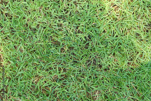 green grass background in football field