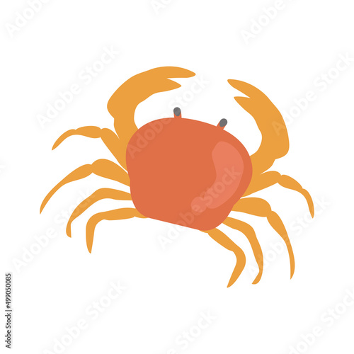 Vector illustration of red crab isolated on background.