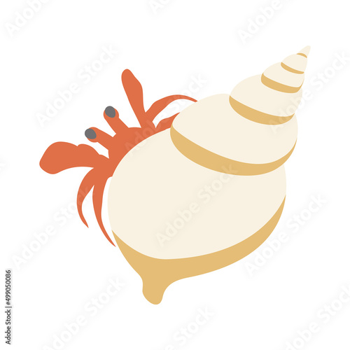 Vector illustration of red hermit crab isolated on background.