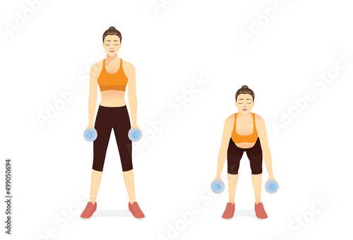 Women use dumbbells from Plastic Water Bottle for exercise with deadlift position in 2 steps. Illustration about quick and easy exercise challenge with recycled equipment at home.