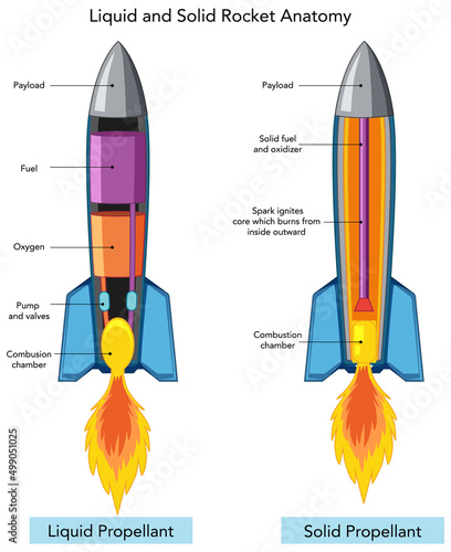 Liquid and solid rocket anatomy