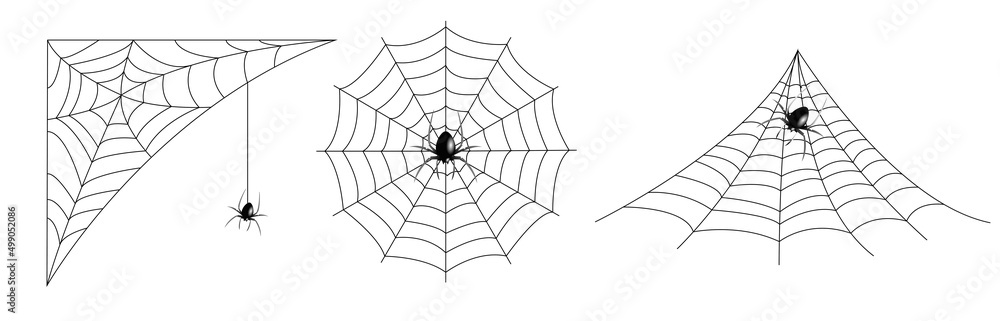 Obraz premium realistic set of spider web for Halloween.spider web editable stroke. spider web andsmall spider on a white background.