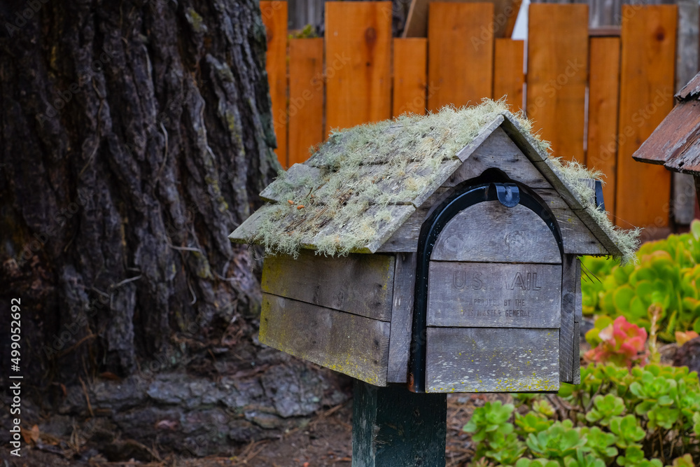 Old wooden mailbox with fungus growing on the top Old wooden mailbox with fungus growing on the top