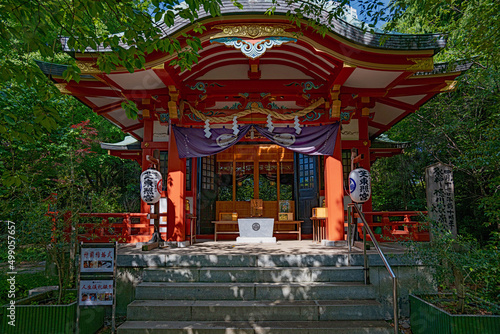 Tablou pe pânză 東京 芝東照宮