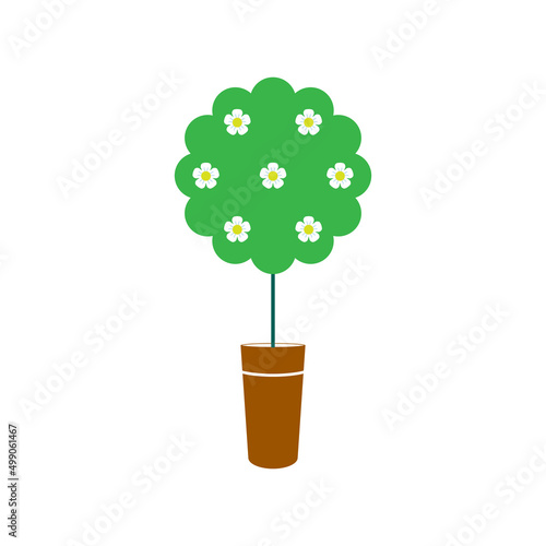 Beautiful topiary with flower isolated on white background. Garden trimming boxwood tree. Evergreen decorative plant in pot. Dwarf shrub in flowerpot. Vector illustration