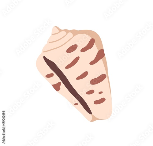 Marine sea shell. Underwater mollusc, seashell. Beach shellfish with spots. U...