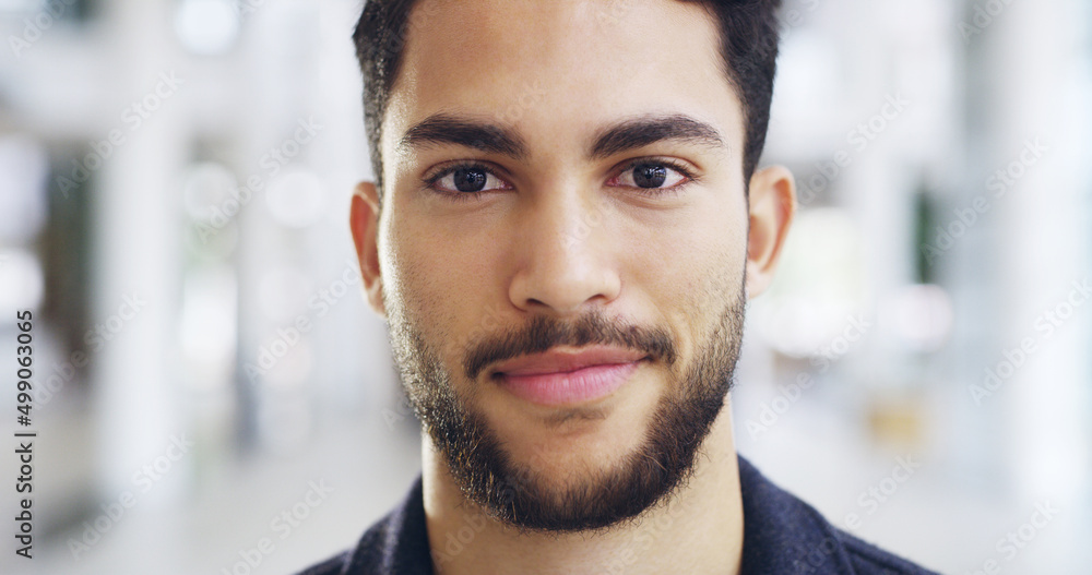 Being a successful businessman is all I wanted to be. Cropped shot of a young handsome businessman in a modern office. Being a successful businessman is all I wanted to be. Cropped shot of a young handsome businessman in a modern office.