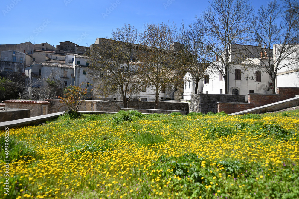 A lawn in front of old houses in Bisaccia, a village in the province of Avellino in Italy.