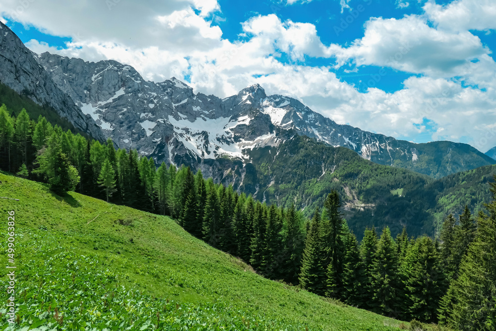 Fototapeta premium Panoramic view from a green alpine meadow on rocky sharp cloud covered mountain peaks of Kamnik Savinja Alps in Carinthia. Border sign Austria Slovenia. Mountaineering. Freedom. Look on Grintovec