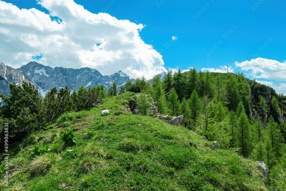 Panoramic view on summit cross of Goli Vrh and the mountains of Kamnik Savinja Alps in Carinthia, border Austria and Slovenia. Valley with green spring meadow in Vellacher Kotschna. Fresh air. Freedom