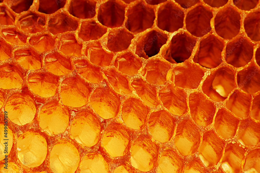 Yellow Honeycomb closeup background Yellow Honeycomb closeup background