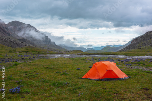 Scenic mountain landscape with tent in rain drops in sunlight under cloudy sky. Dramatic alpine scenery with vivid orange tent on grass among purple flowers in green mountain valley in rainy weather. © Daniil
