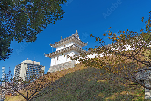 栃木 宇都宮城の富士見櫓 photo