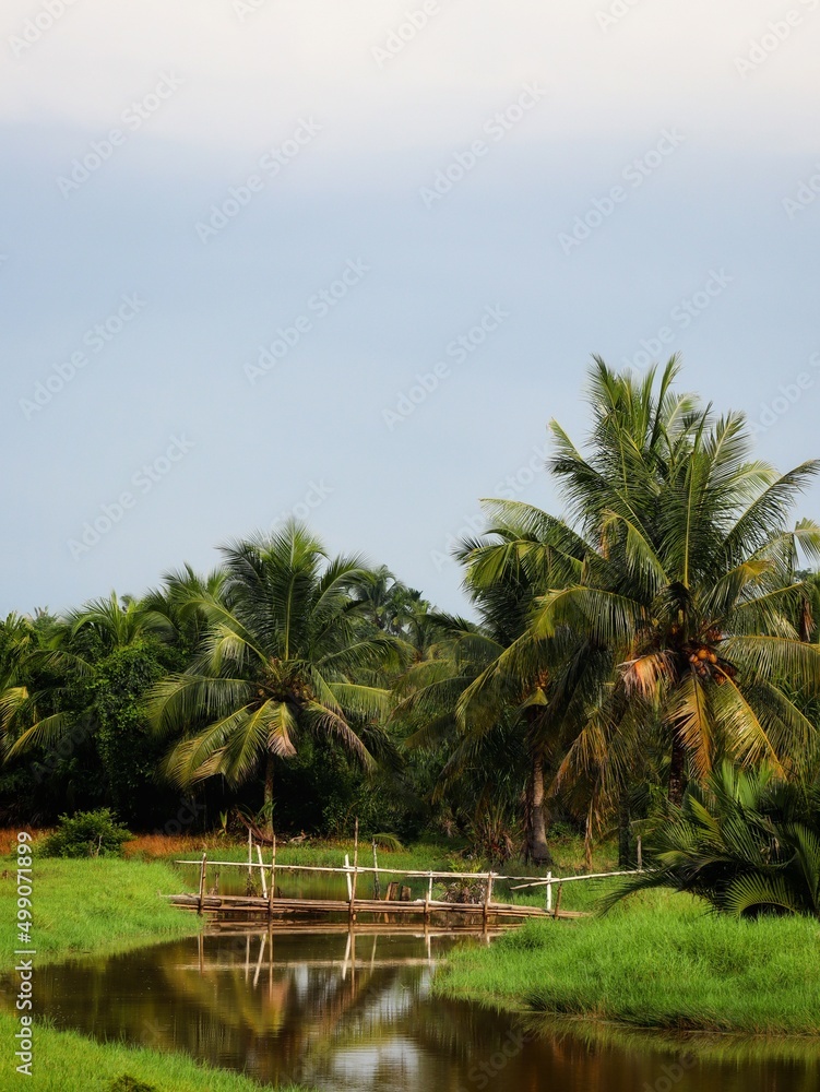 Obraz premium small canal and bamboo bridge at the country side