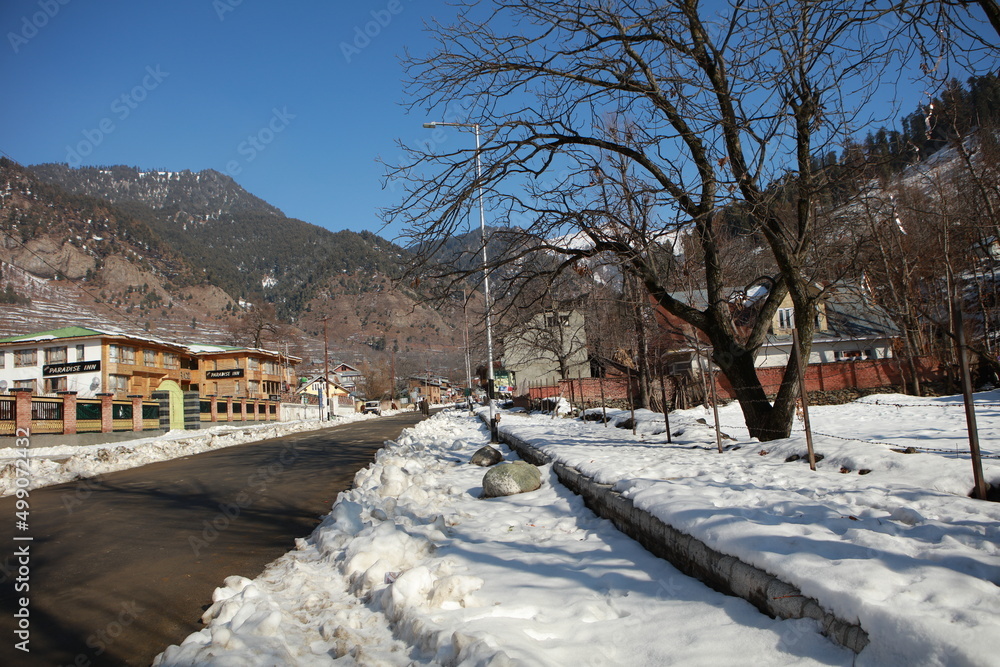 Obraz premium kashmir