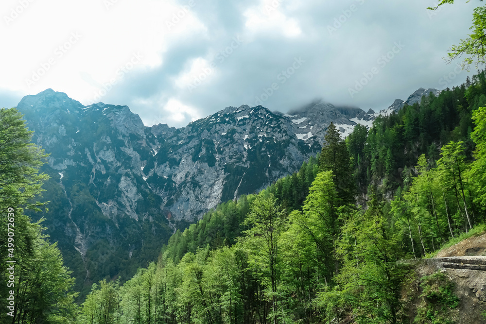 Fototapeta premium Scenic view from a forest on the cloud covered summit Jezerska Kocna in Kamnik Savinja Alps in Carinthia, border Austria and Slovenia. Mountain peaks in the Vellacher Kotschna. Mountaineering. Freedom