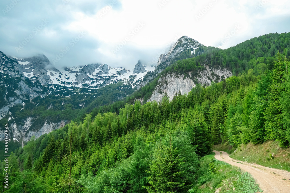 Hiking path in spring through a forest to the scenic cloud covered mountain peaks of Kamnik Savinja Alps in Carinthia, border Austria and Slovenia. Trail to Velika Baba in Vellacher Kotschna. Europe