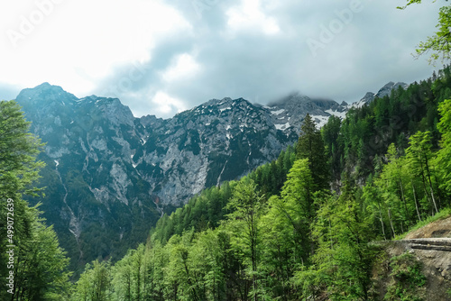Scenic view from a forest on the cloud covered summit Jezerska Kocna in Kamnik Savinja Alps in Carinthia, border Austria and Slovenia. Mountain peaks in the Vellacher Kotschna. Mountaineering. Freedom