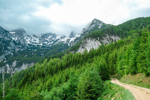 Hiking path in spring through a forest to the scenic cloud covered mountain peaks of Kamnik Savinja Alps in Carinthia, border Austria and Slovenia. Trail to Velika Baba in Vellacher Kotschna. Europe