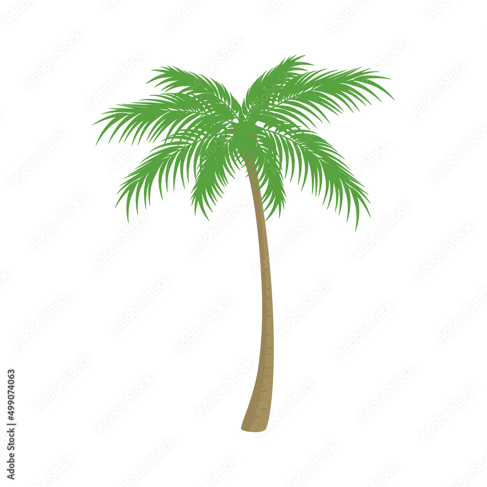 Vector illustration of palm tree isolated on background. - obrazy, fototapety, plakaty 
