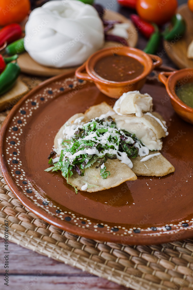 Mexican quesadillas with cheese and salsa sauce traditional food in Mexico Mexican quesadillas with cheese and salsa sauce traditional food in Mexico