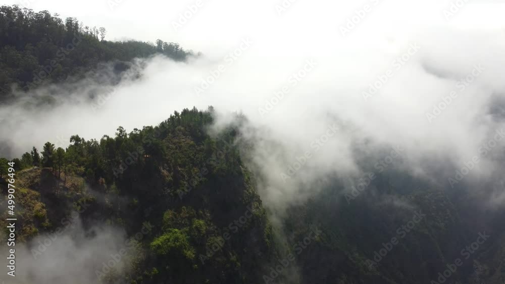 Aerial drone view flying over a forest with clouds. Filming the deep forest from above with passing clouds. Cinematic shot. Above the clouds. Relaxing and pensive feeling. Travel the world. Aerial drone view flying over a forest with clouds. Filming the deep forest from above with passing clouds. Cinematic shot. Above the clouds. Relaxing and pensive feeling. Travel the world.