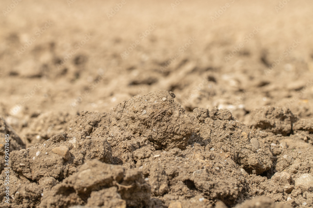Closeup of plowed and fertile brown soil. Copy space. Closeup of plowed and fertile brown soil. Copy space.