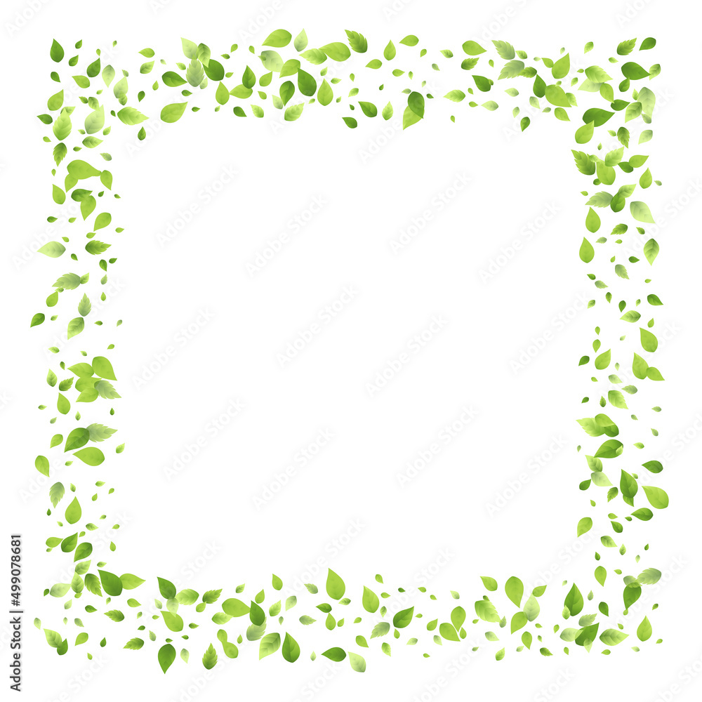 Leaves Green Falling Flying Foliage Leaf Tea Mint Leaves Green Falling Flying Foliage Leaf Tea Mint