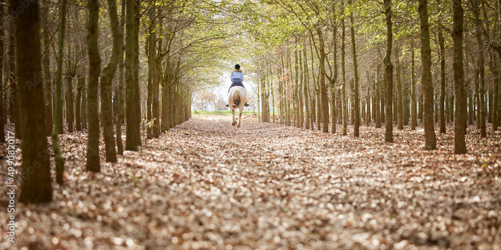 Obraz premium This is what freedom looks like. Full length shot of an unrecognisable woman horseback riding through the forest during the day.