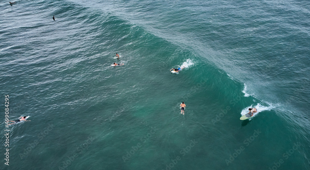 Aerial view of surfers waiting for the wave. Sri Lanka, Midigama