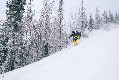 Skier riding in winter forest. Winter beautiful landscape in ski resort, fir trees covered with snow
