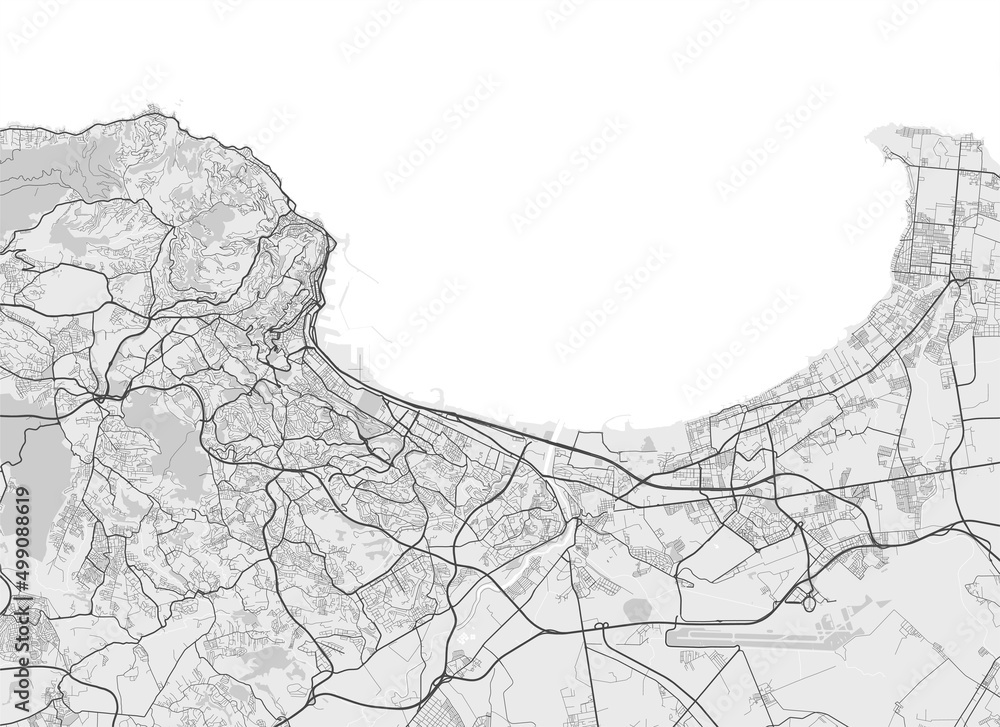 Fototapeta premium Urban city map of Algiers. Vector poster. Black grayscale street map.