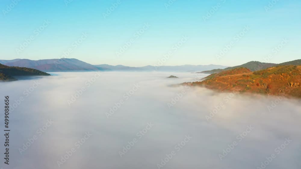 Mountains with colorful trees covered with layer of fog