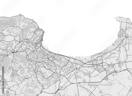 Canvas Print Urban city map of Algiers