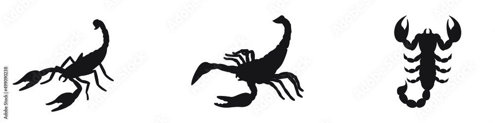 Fototapeta premium Scorpion vector icon set. poison illustration sign collection. insect symbol or logo.