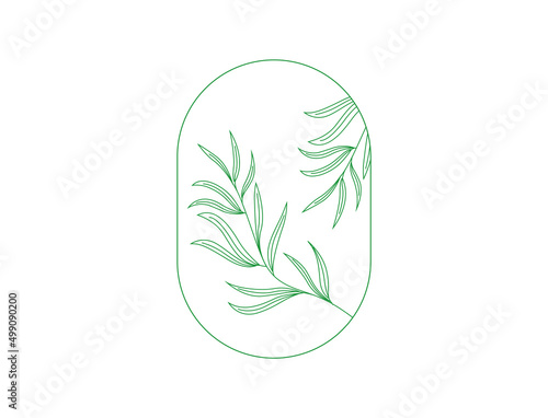 tea tree leaf Cosmetics and medical plant. hand drawn vector illustration 