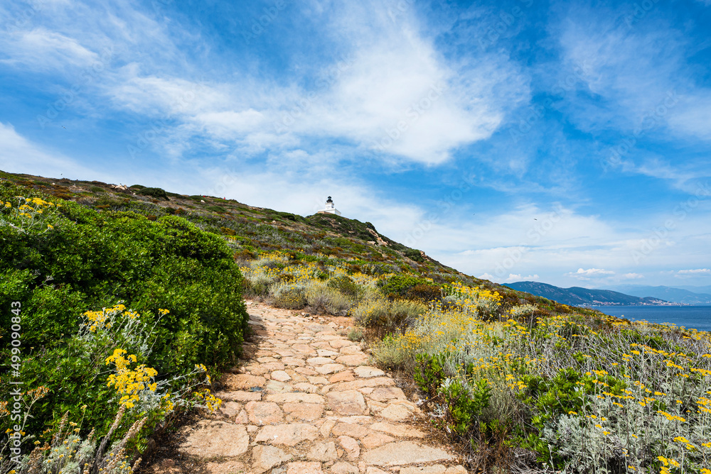 Paved road going up to the lighthouse at the corsican Sanguinaire islands with Ajaccio city and the Mediterranean sea on the background.