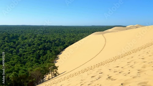 East side of the Dune du Pilat with a view on the Landes forest the largest maritime-pine forest in Europe photo