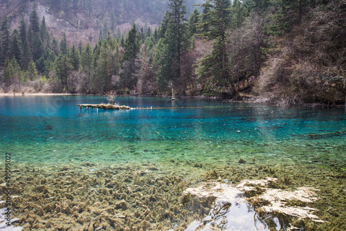 Jiuzhaigou National Park  blue lakes  Sichuan province  China