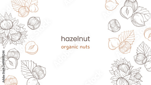 Hazelnut web banner with nuts and leaves, fruits and kernels. Left and right pattern of hazelnuts